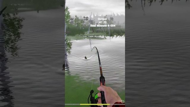#трофейная #russianfishing4 #рр4 #русскаярыбалка4 #rr4 #окунь #рр4окунь смотреть онлайн