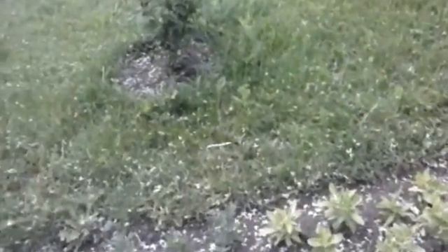 СВЯТОГОРСКАЯ ЛАВРА ВЕСНА смотреть онлайн