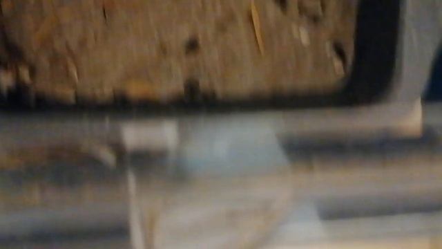 Песчанки Видео 47 День рожденье пушистиков! смотреть онлайн