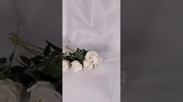 Виниловый фотофон Вуаль 60х120 см. Сьёмка в стиле Шебби Шик/Ретро. смотреть онлайн