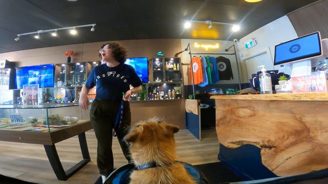 Robson Street Friendly Pot Store 💖😁 смотреть онлайн