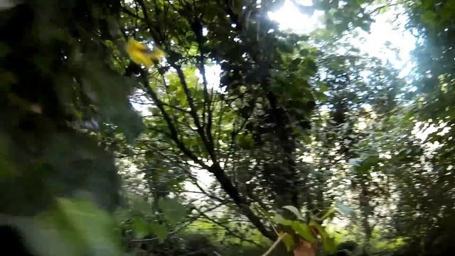 Danescombe Valley Paper Mill 2: Flight of the RE180 Tilt смотреть онлайн