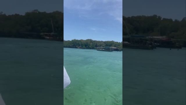 Отдых на Занзибаре 15 ноября 2021??Местный гид поёт для туристов?Как отдохнуть на Занзибаре?#туризм смотреть онлайн