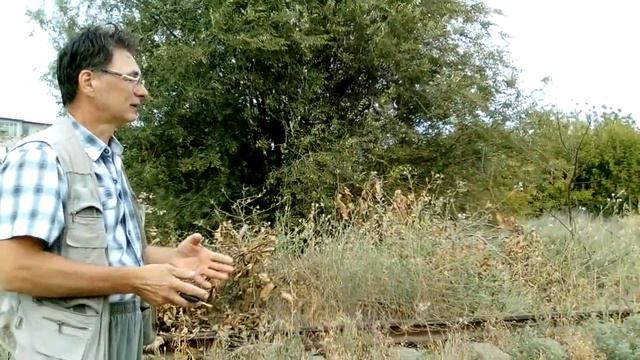 Ахтуба.часть 3 смотреть онлайн