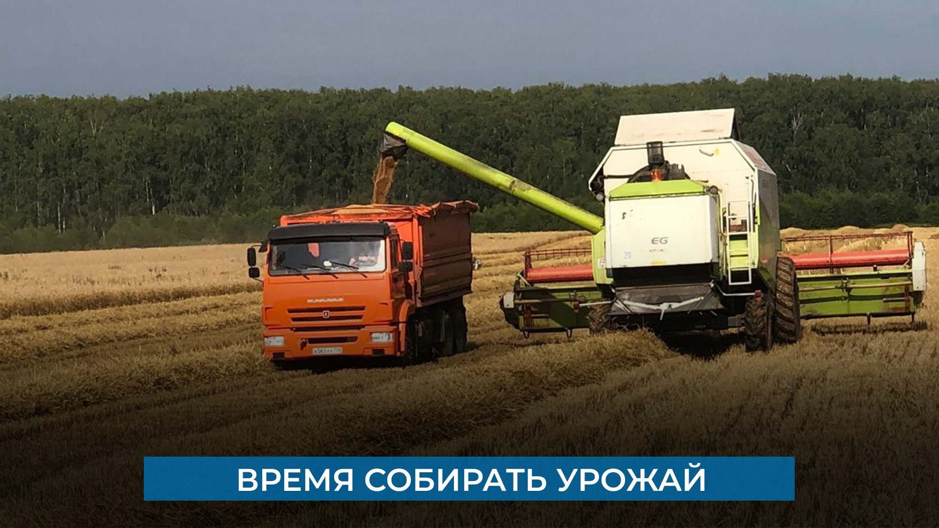Время собирать урожай смотреть онлайн