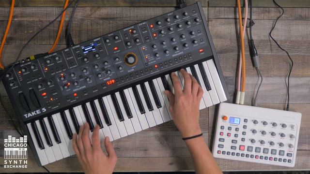 Sequential Take 5 & Elektron Model Samples Jam // Just Sounds смотреть онлайн