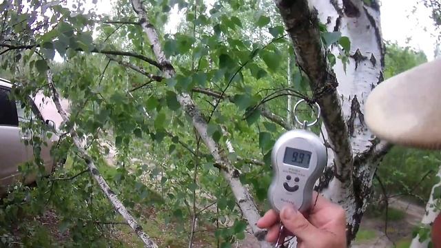 Рыбалка с арбалетом. Часть 2 смотреть онлайн