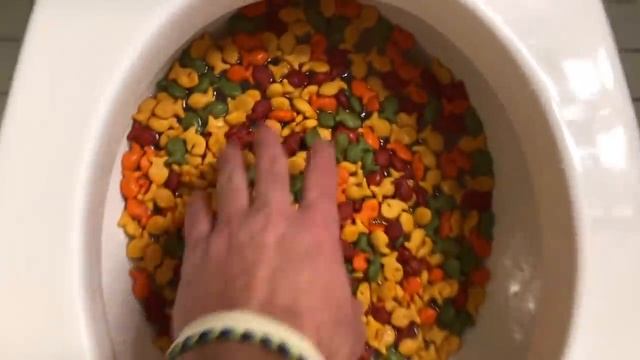 Will it Flush? - Rainbow Goldfish 2 смотреть онлайн