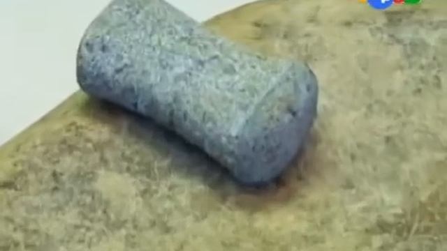 Вперед в прошлое. Земледельцы и скотоводы неолита смотреть онлайн