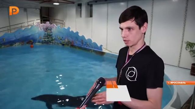 Новогоднее желание смотреть онлайн