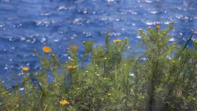 музыка о воспоминаниях смотреть онлайн