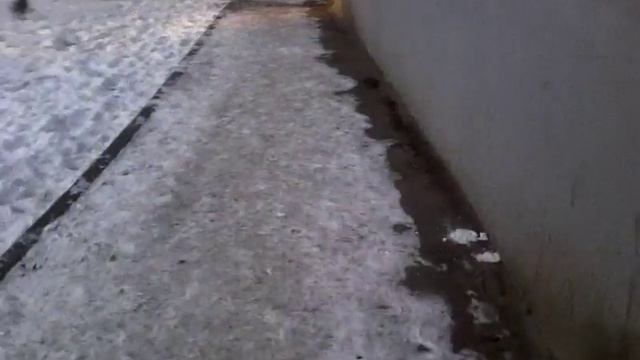 Прогулка до каратэ. смотреть онлайн