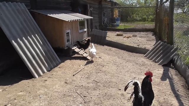 Мама приехала, будет наводить порядки. смотреть онлайн