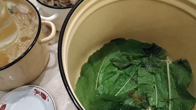 Архиерейский (монастырский) рецепт засоли грибов. Часть 3