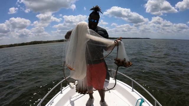 Learning how to throw an 8ft 10ft and 12ft Black pearl cast (Product review black pear invi) смотреть онлайн