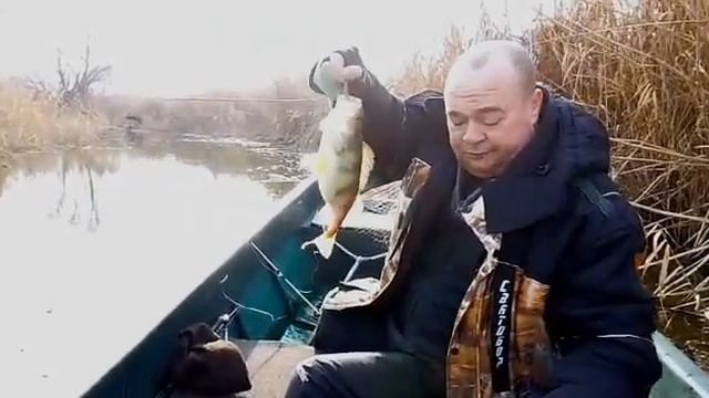 На окуня в ноябре смотреть онлайн