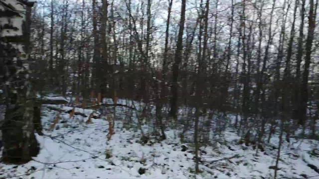 Поляна в лесу недалеко от города Хорошее место для тренировок на свежем воздухе смотреть онлайн
