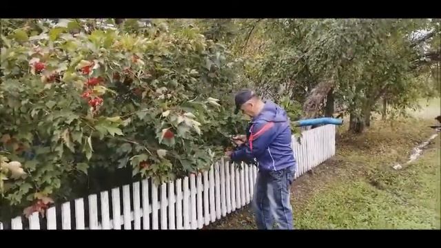 Калина красная 09 09 2020 смотреть онлайн