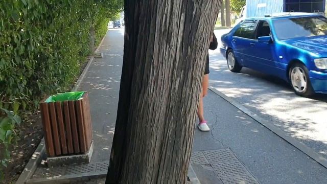 Адлер. Ул. Гастелло и всякое другое. #561 смотреть онлайн