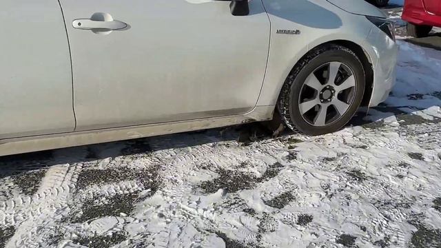 ВСЕГДА В НАЛИЧИИ / АВТО ИЗ ЯПОНИИ КОРЕИ КИТАЯ / АВТОРЫНОК ЗЕЛЕНЫЙ УГОЛ смотреть онлайн