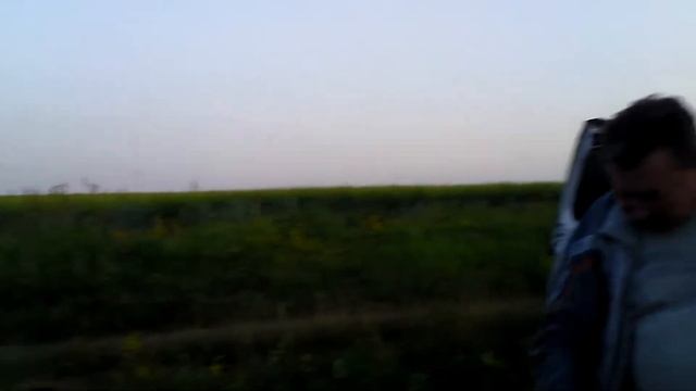 Частушки-апокалипсушки