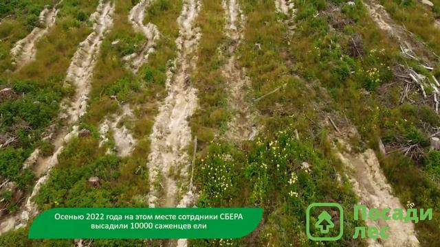 Агроуход в Вологодской области 09 июля 2022 года смотреть онлайн