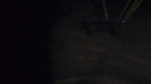 Как поймать рака ночью на фонарик.Все руки из кусали...