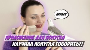 НАУЧИЛА ПОПУГАЯ ГОВОРИТЬ ЗА 30 МИНУТ