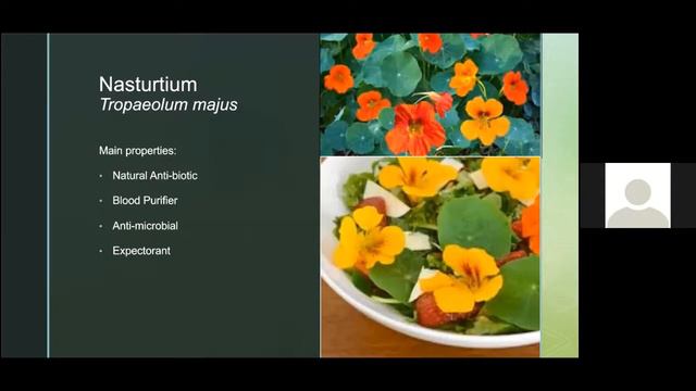 The Hidden Medicine Cabinet In Your Back Yard - Heather Mitchell Adams