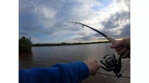 Рыбалка на оке 2020 Лужки 15 июня