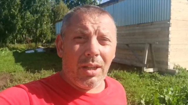 Сколько весит разделанная тушка утки: МУЛАРДА и СТАР53. Какой процент отхода. "Мое Подворье" смотреть онлайн