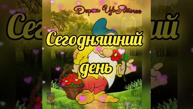 Доброго дня и привет от меня! Позитивчик на весь день дарю тому, кого люблю!🙃