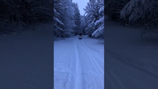 Буран с двигателем Лончин 30 л.с. смотреть онлайн