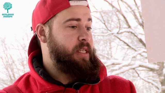 Кормушка своими руками: мастер-класс от Фельдман Экопарк смотреть онлайн