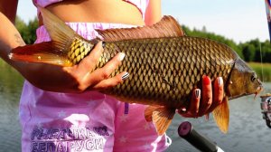 Рыбалка на платнике. Карп КЛЮЕТ на мелководье. #66