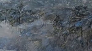 "И уносят меня, и уносят меня!.."