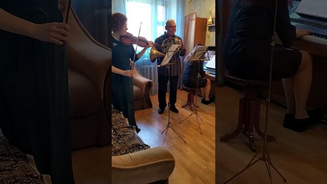 Моцарт.Трио.1-я часть