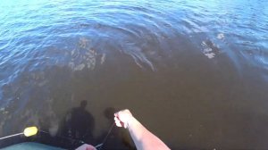 Рыбалка, ЛОВЛЯ леща на КОЛЬЦО с лодки.