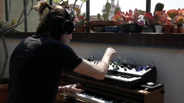 Brescia, my city 🕊 [Moog MATRIARCH & Native Instruments NOIR] смотреть онлайн