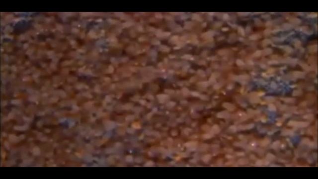 Матрас под микроскопом! (пылевые клещи) смотреть онлайн