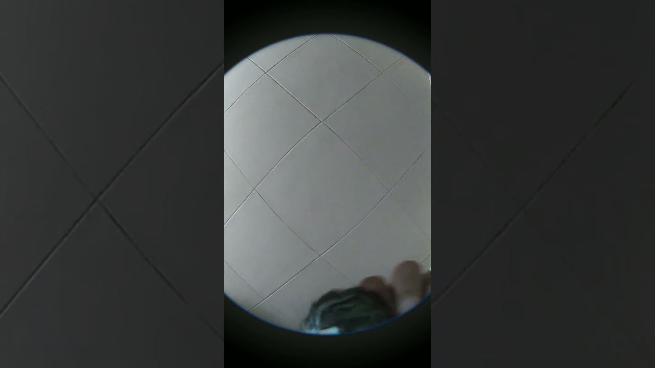 педро хомяк смотреть онлайн