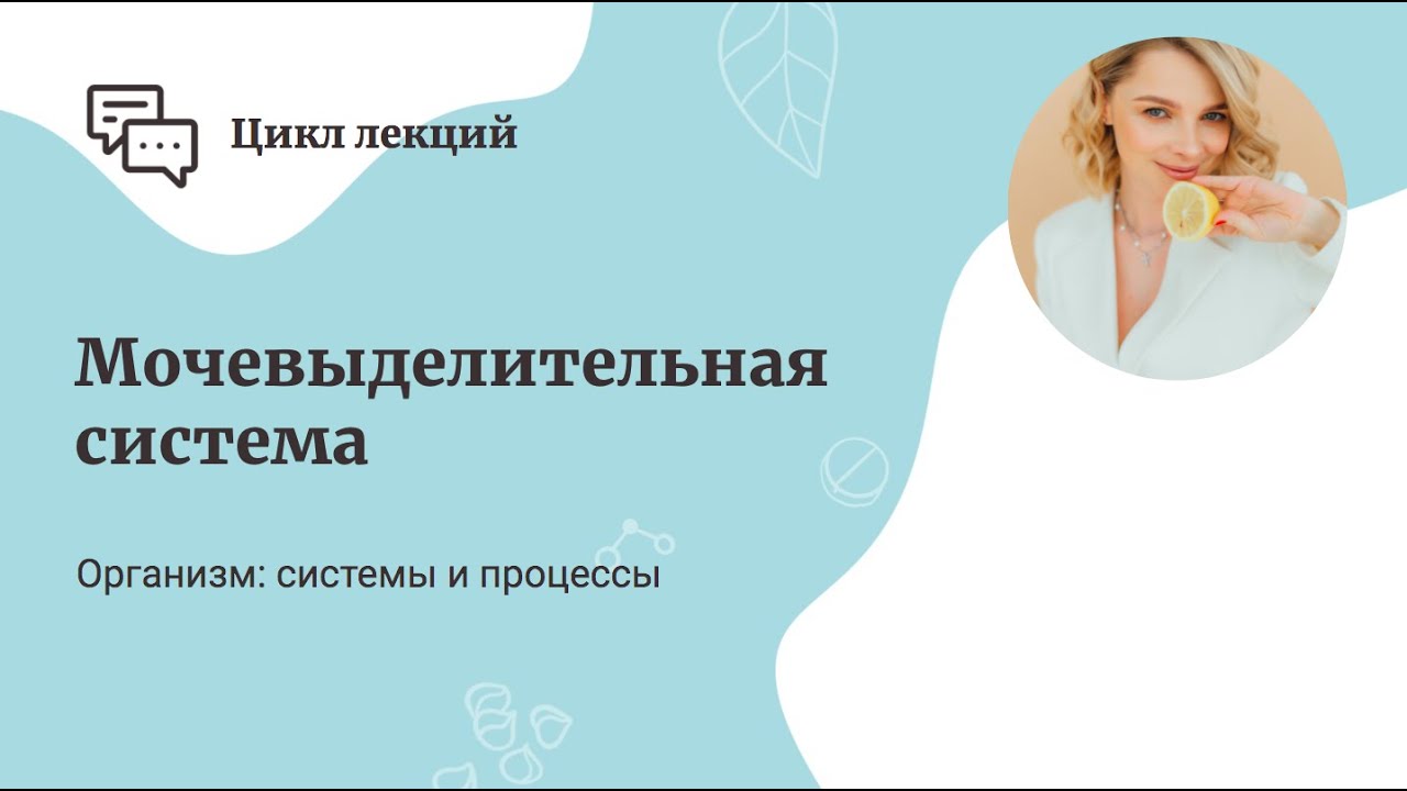 Мочевыделительная система смотреть онлайн