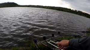 КАК ПОЙМАТЬ ТОЛСТОЛОБА! ЛОВЛЯ ТОЛСТОЛОБА НА ТЕХНОПЛАНКТОН! рыбалка на толстолобика