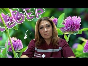 СНОГСШИБАТЕЛЬНАЯ ПОЛЬЗА КЛЕВЕРА ДЛЯ ВАС! СПЕЦИАЛЬНЫЙ ОБЗОР!