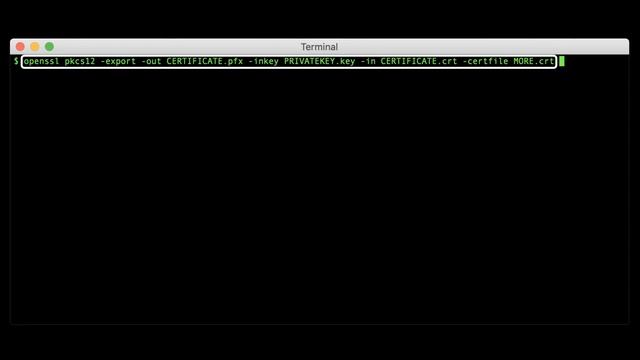 Create a PKCS#12/PFX File with OpenSSL смотреть онлайн