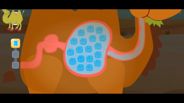 ОТПРАВЛЯЕМСЯ В МИР ЗВЕРЕЙ (ВЕРБЛЮД)/LET'S GO TO THE WORLD OF ANIMALS(CAMEL) #kidsvideo #tiktokvideo