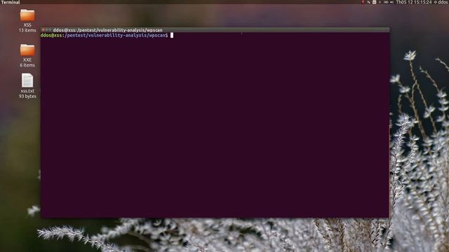 Cross site Scripting XSS on WordPress version 4.2 -4.5.1 смотреть онлайн