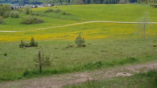 Мы за крапивой. Кто с нами? смотреть онлайн