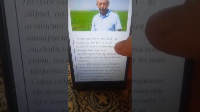 "Клубничное дерево Monika". Мошенники меняют маски смотреть онлайн