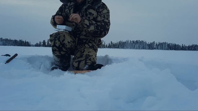 Зимняя рыбалка на окуня / Бешенный клев окуня в глухозимье / ЧАСТЬ 2 смотреть онлайн